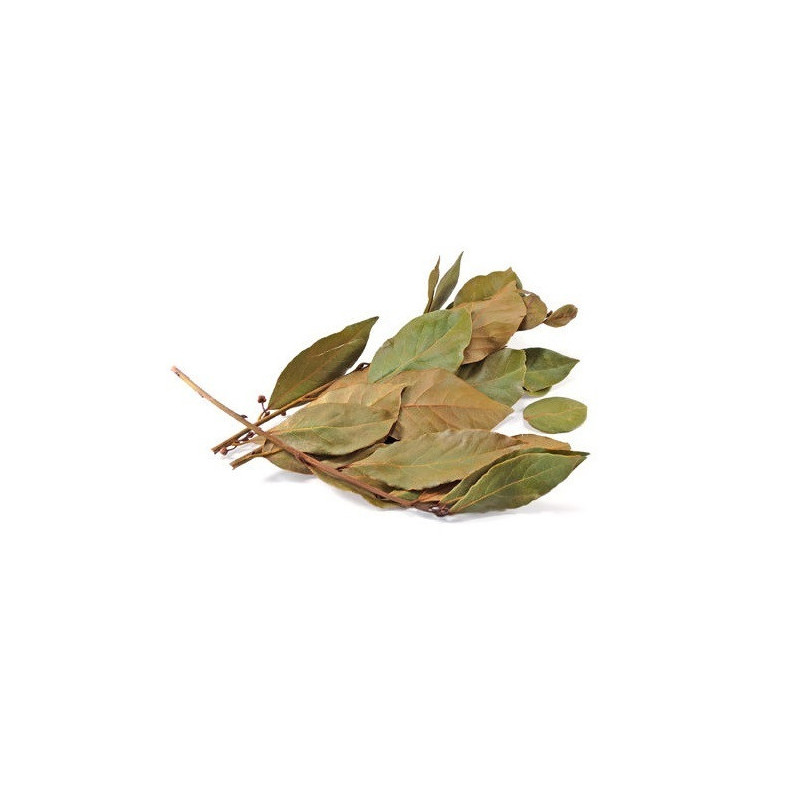 Feuille d'avocat-hoja de aguacate moulue