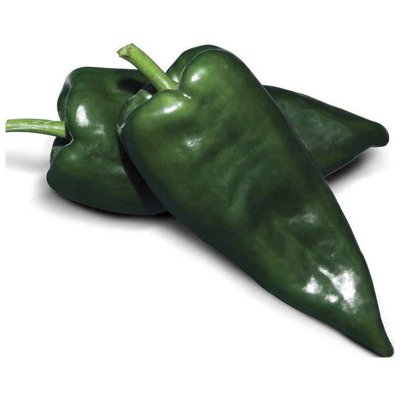Chile poblano fresco - Antojitos MX