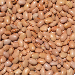 Frijol bayo en grano crudo - La sierra 900gr