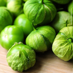 Tomatillo fresco bio 1kg